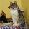 Отзыв от Жанна Глухова